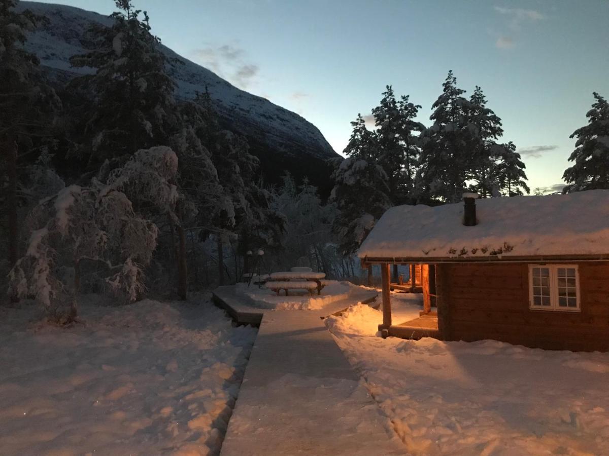 Camp Dronningkrona Alvundeid Zewnętrze zdjęcie